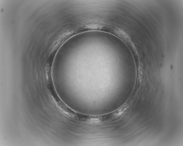 X0000055520114200508191555