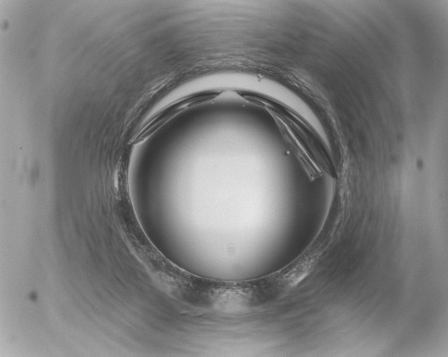 X0000055520115200508191555