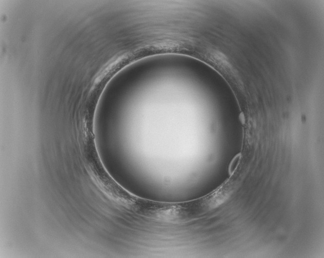 X0000055520116200508191555