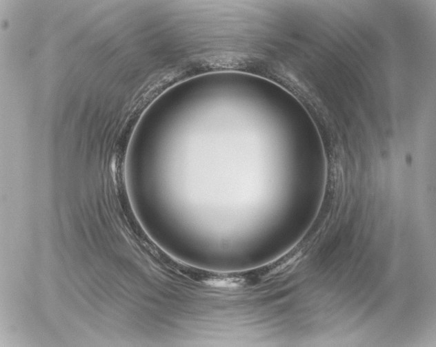 X0000055520117200508191555