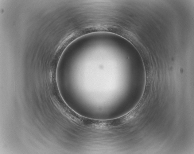 X0000055520120200508191555