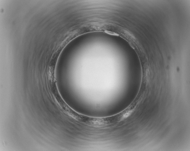 X0000055520121200508191555