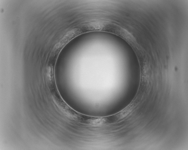 X0000055520122200508191555