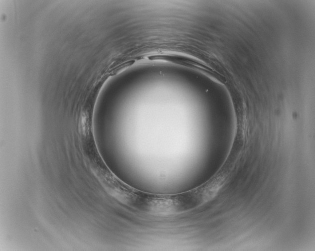 X0000055520123200508191555