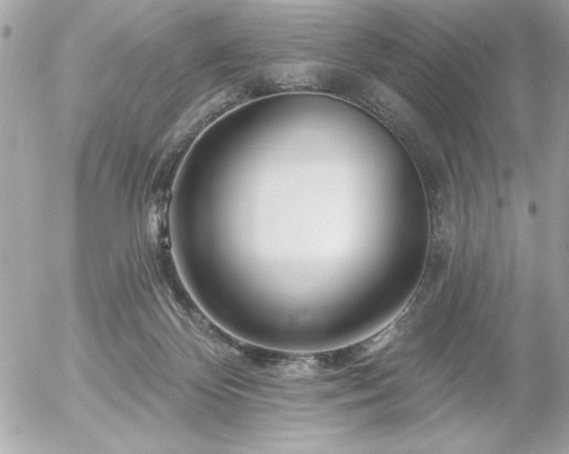 X0000055520124200508191555