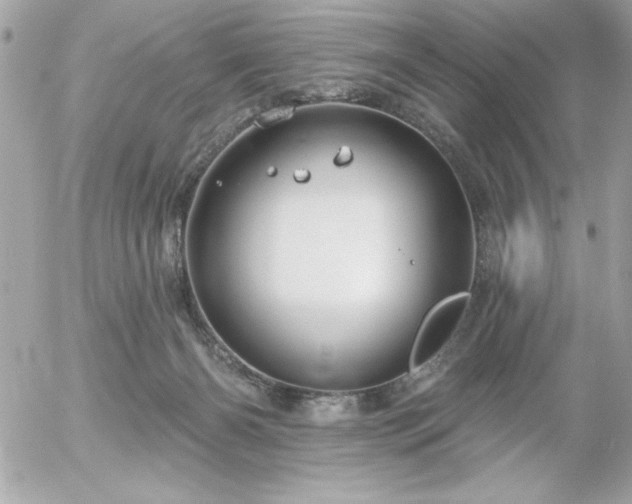 X0000055520126200508191555