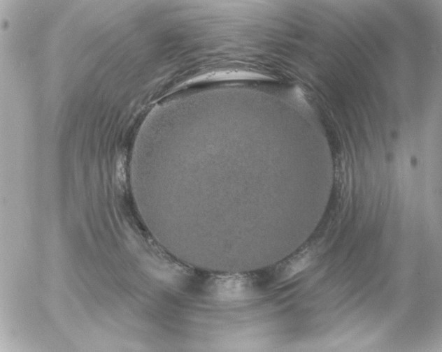 X0000055520127200508191555