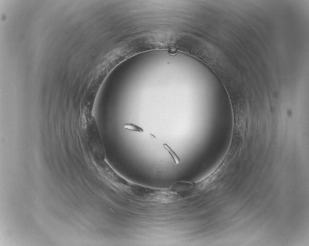 X0000055520128200508191555