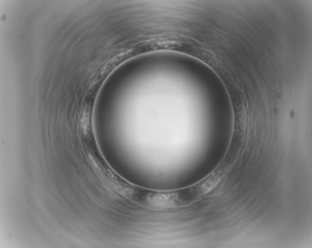 X0000055520129200508191555