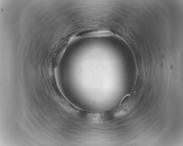 X0000055520131200508191555