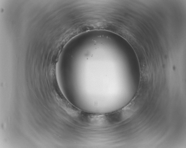 X0000055520132200508191555