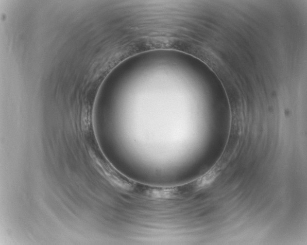 X0000055520134200508191555