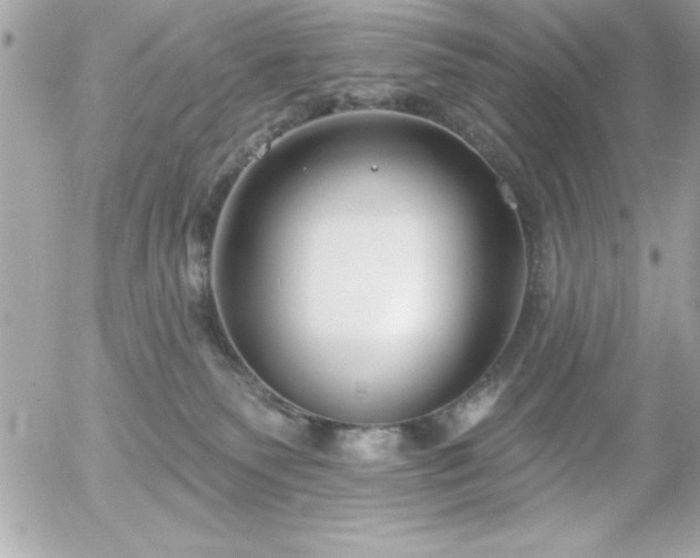 X0000055520135200508191555