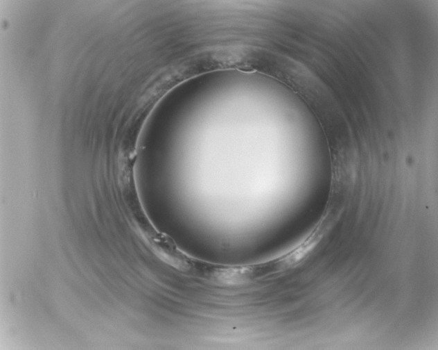 X0000055520136200508191555