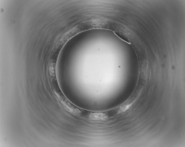 X0000055520137200508191555