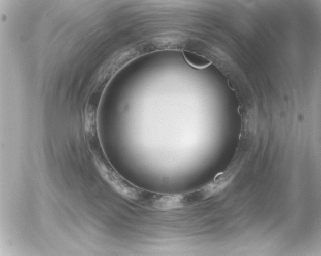 X0000055520138200508191555