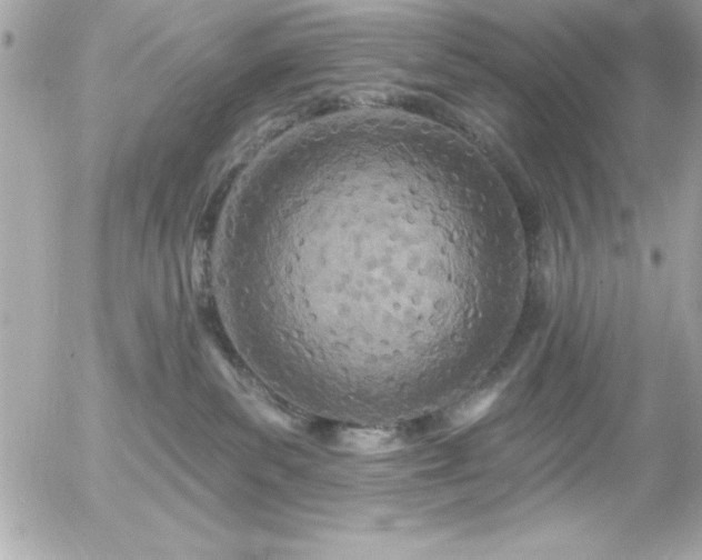 X0000055520139200508191555