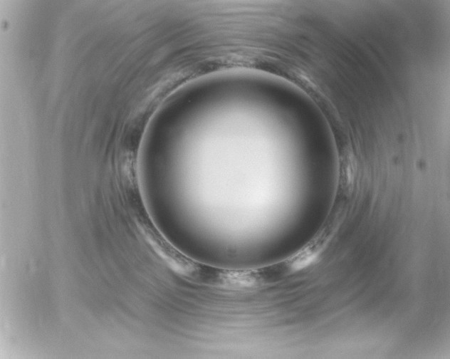 X0000055520141200508191555