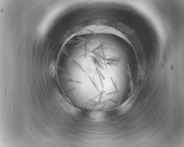 X0000055520142200508191555