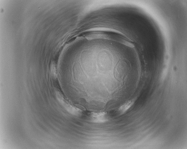 X0000055520143200508191555