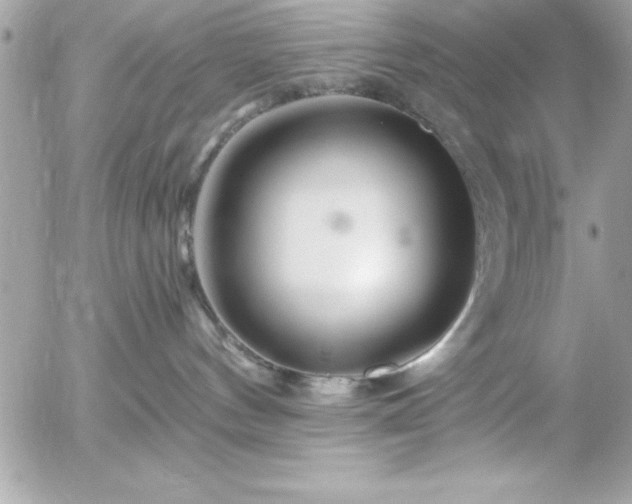 X0000055520144200508191555