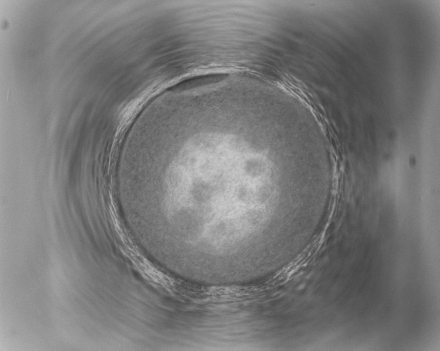 X0000055520145200508191554