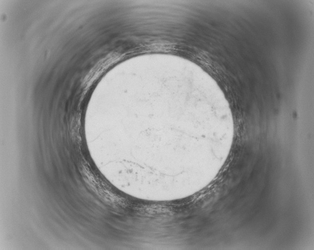 X0000055520146200508191554