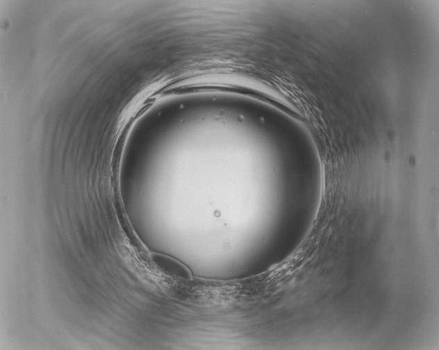 X0000055520147200508191554