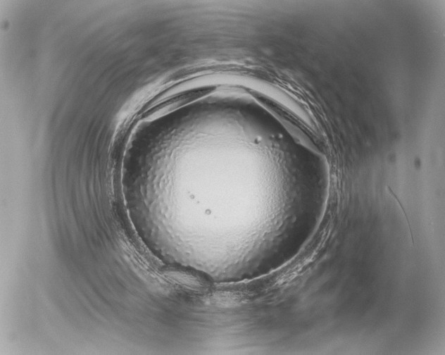 X0000055520149200508191554