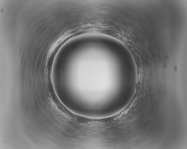 X0000055520150200508191554