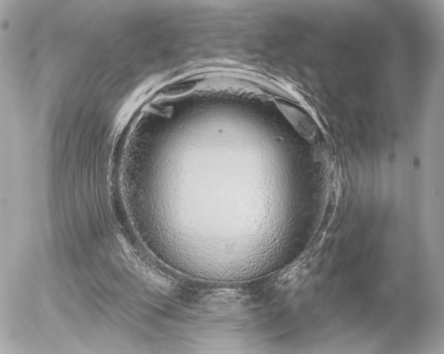 X0000055520151200508191554