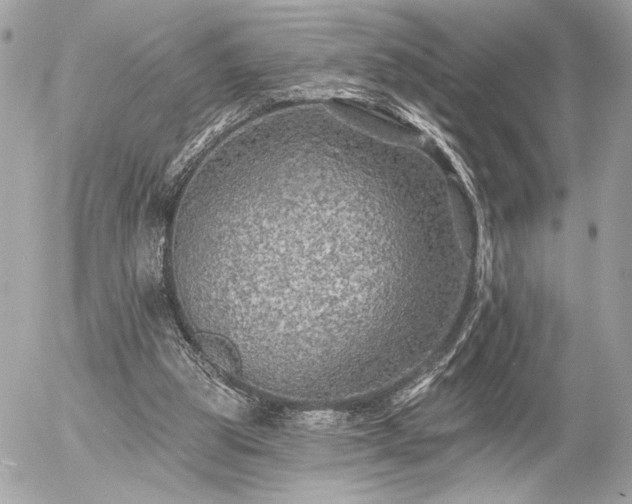 X0000055520153200508191554