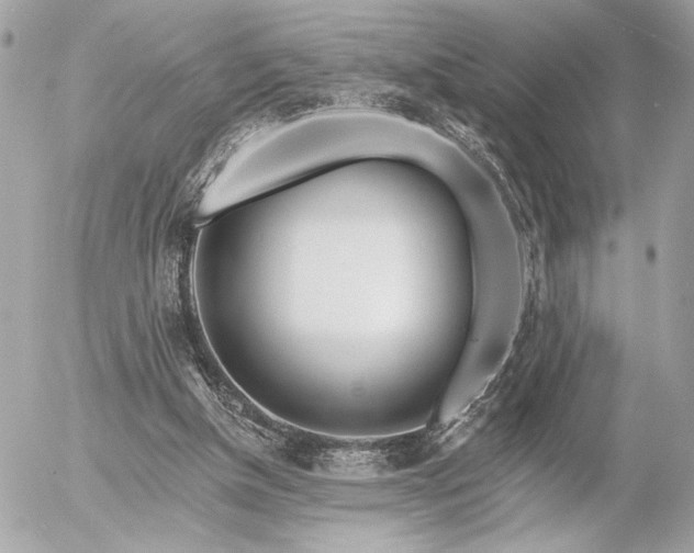 X0000055520154200508191554