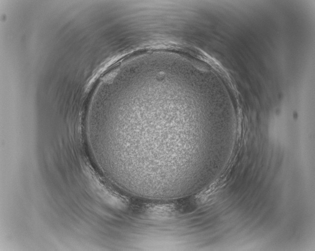 X0000055520155200508191554