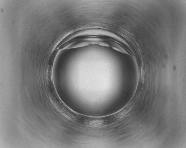 X0000055520156200508191554