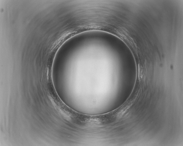 X0000055520157200508191554