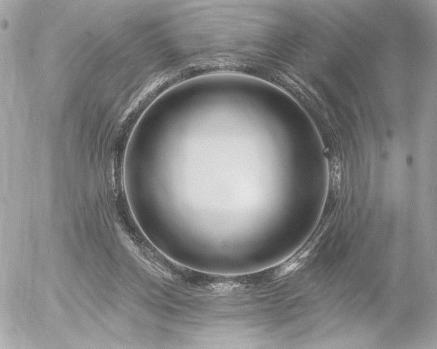 X0000055520158200508191554