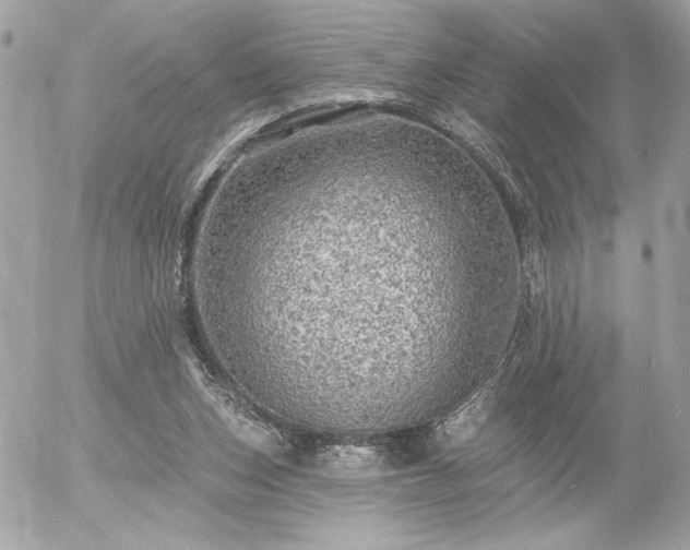 X0000055520159200508191554