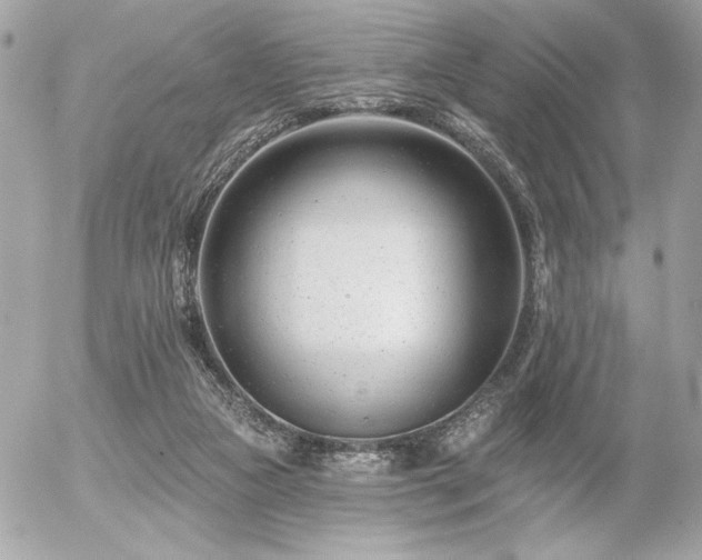 X0000055520161200508191554