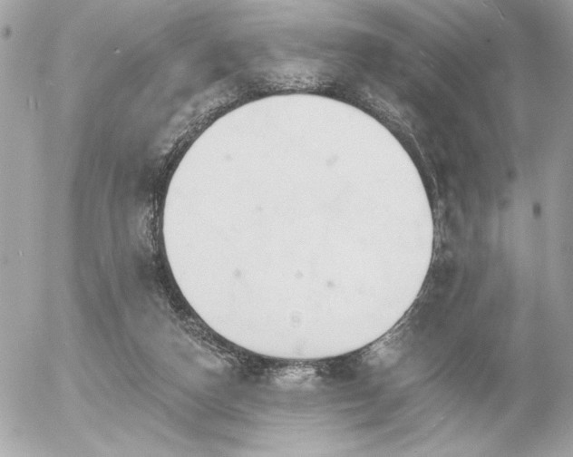 X0000055520162200508191554