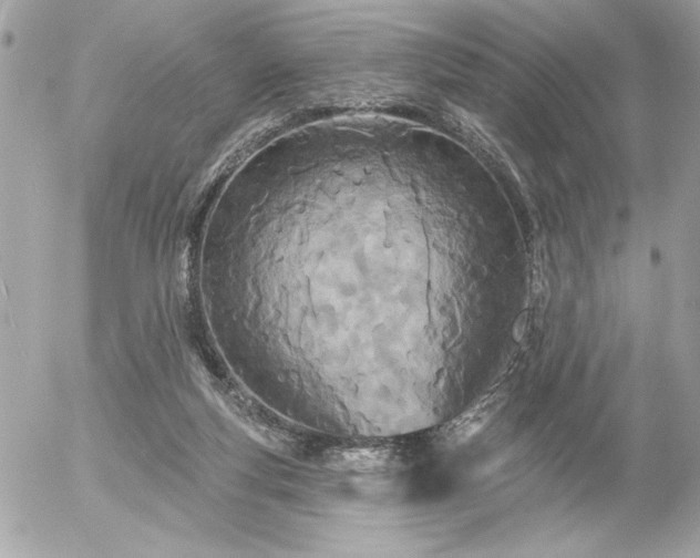 X0000055520163200508191555