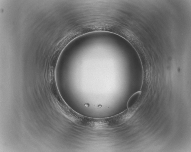 X0000055520165200508191555