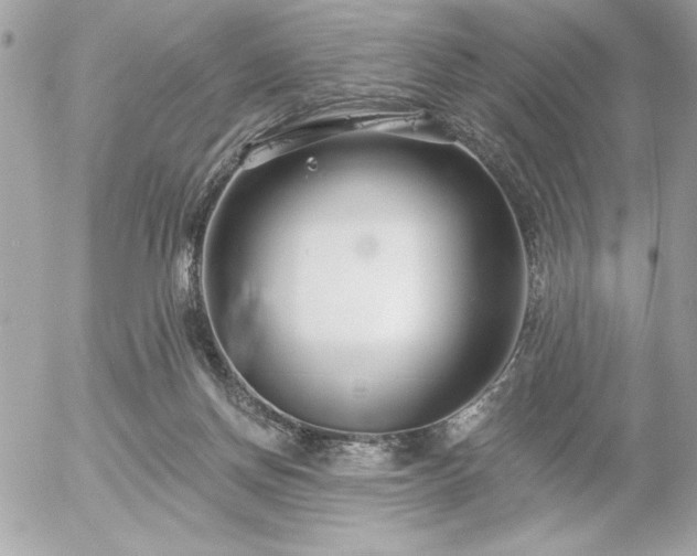 X0000055520166200508191555