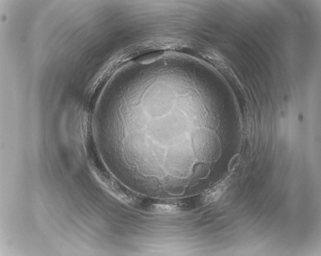 X0000055520167200508191555