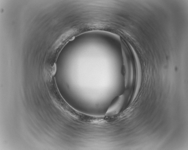 X0000055520168200508191555