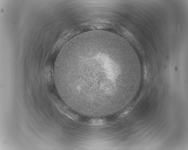 X0000055520169200508191555