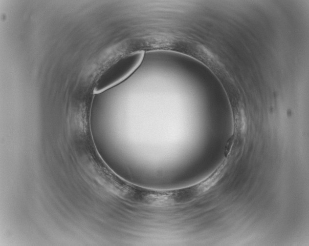 X0000055520170200508191555