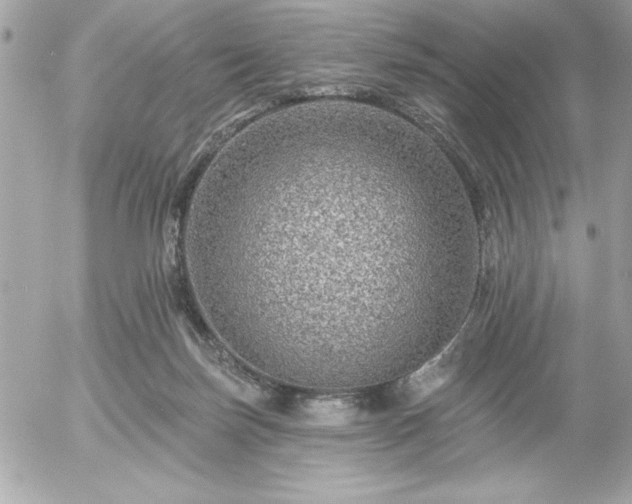 X0000055520171200508191555