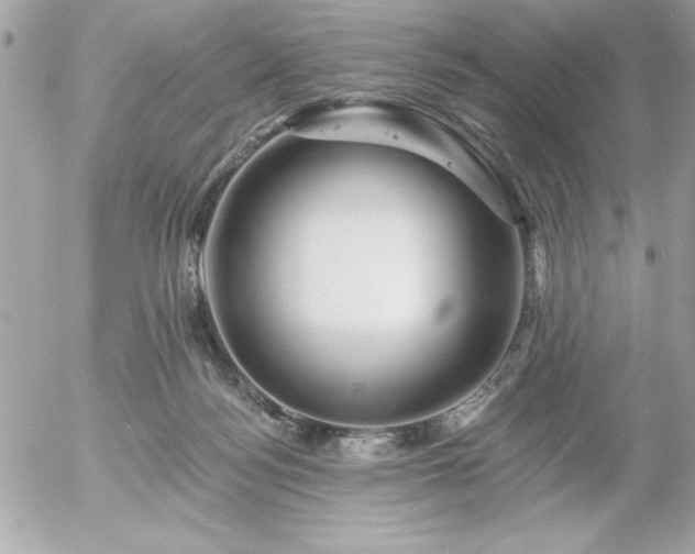 X0000055520172200508191555