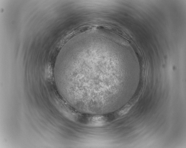 X0000055520173200508191555